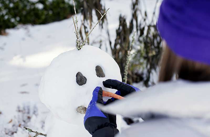 Eislaufen, Rodeln und Schneemann bauen
