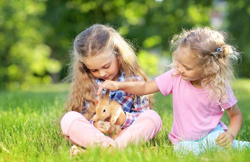 Urlaub auf dem Bauernhof