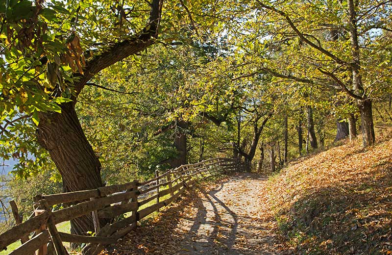 Keschtnweg: Abschnitt Brixen - Klausen